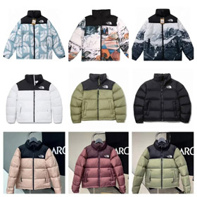 THE NORTH FACE letter embroidery stand collar short bread long sleeve down jacket -4300